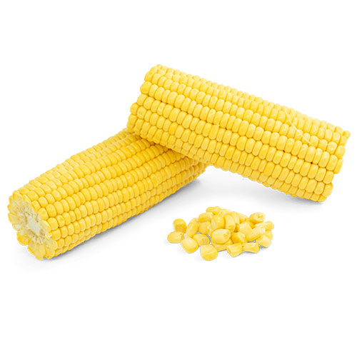 Sweet Corn Cobs