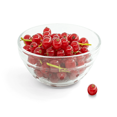 Frozen Red currant