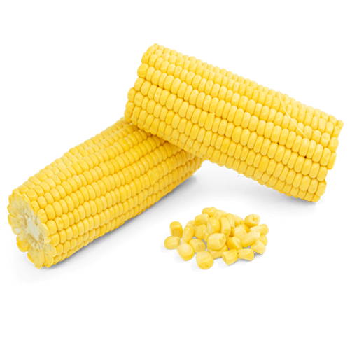 Organic Corn Cob